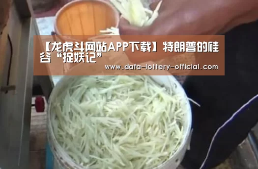 龙虎斗网站APP下载
