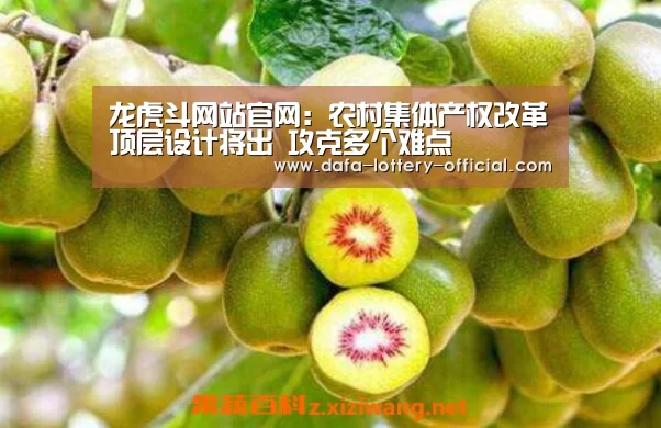 龙虎斗网站官网:农村集体产权改革顶层设计将出 攻克多个难点(图3) 龙虎斗网站APP下载